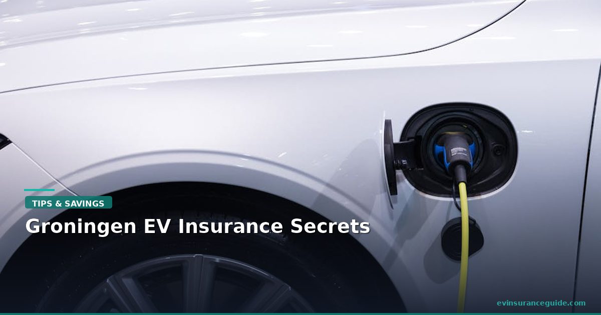 Groningen EV Insurance Secrets